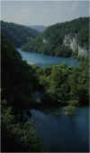 plitvice1.jpg (73963 octets)