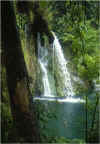 plitvice5.jpg (80063 octets)